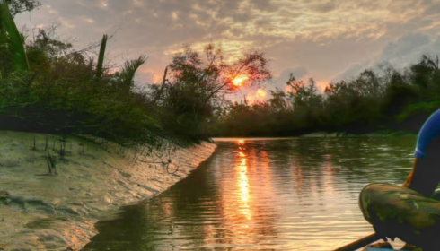 Sundarban tour